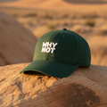 A dark green baseball cap with 'WHY NOT' embroidered in white on the front, resting on a large rock in a desert landscape with sand dunes in the background.